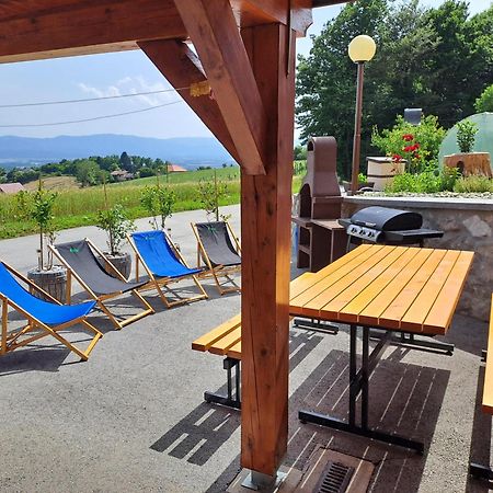 Apartments Jernej With Onsite Wellness Brežice エクステリア 写真