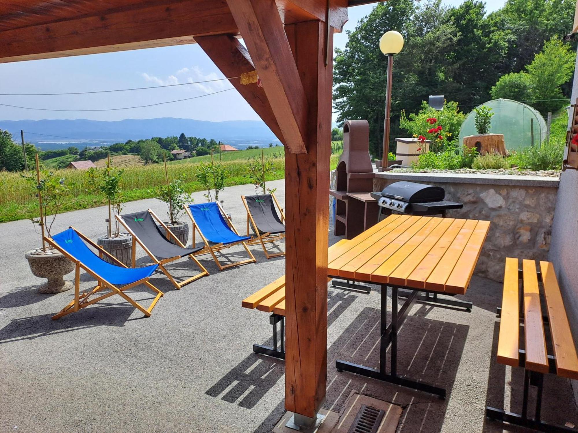 Apartments Jernej With Onsite Wellness Brežice エクステリア 写真